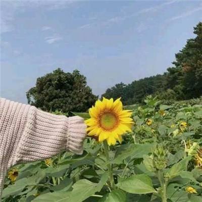 4399暗影之怒手游下载